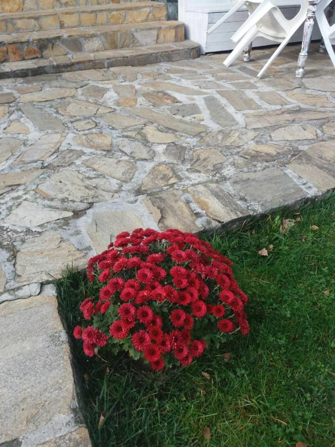 Вила Сладък Живот Tsigov Chark Bagian luar foto